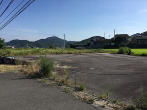 今更、太陽光発電 今更、太陽光発電