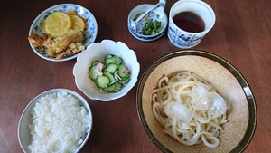 昼ごはんとミイコさんと飼い主の再会 昼ごはんとミイコさんと飼い主の再会