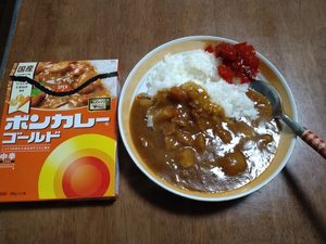ボンカレー、婆連れでお笑い福祉士教室(^_^;) ボンカレー、婆連れでお笑い福祉士教室(^_^;)