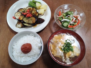 昼ごはん晩ごはん、民生委員活動 昼ごはん晩ごはん、民生委員活動