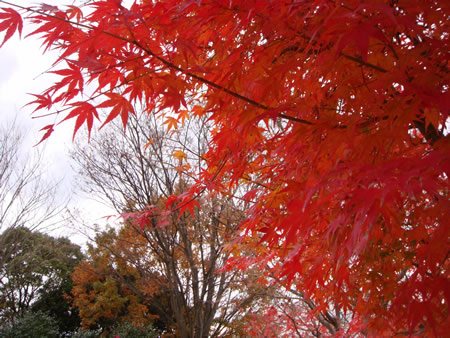 香川県って、いいとこですね。。