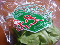 違うの?
