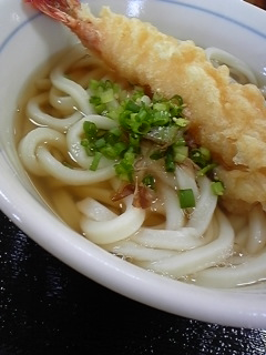手打ちうどん 力一