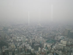 in 東京