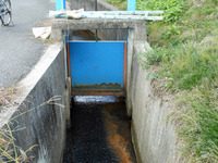 水門!!