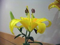 ドコモが見据える未来~