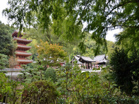 明王院!!
