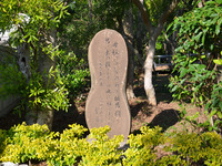 ひめゆりの塔!!