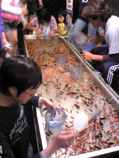 毎年恒例すくい
