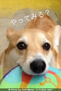 春だから くびれたい♪