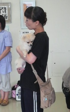 実は犬好きでした