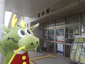 まんのう公園 ひまわり(#^.^#) まんのう公園 ひまわり(#^.^#)