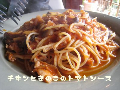 摂り過ぎ&ふ摂り過ぎ!