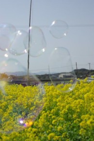 鯉のぼりの復活・・しないのかな~??