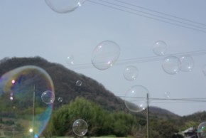 鯉のぼりの復活・・しないのかな~??