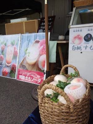 CONNECT・・・・出店者編 CONNECT・・・・出店者編
