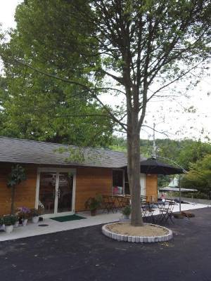 あまんさんの峰山ハチミツ あまんさんの峰山ハチミツ