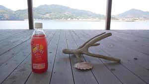 瀬戸内DAYOUT~蔦島にて 瀬戸内DAYOUT~蔦島にて