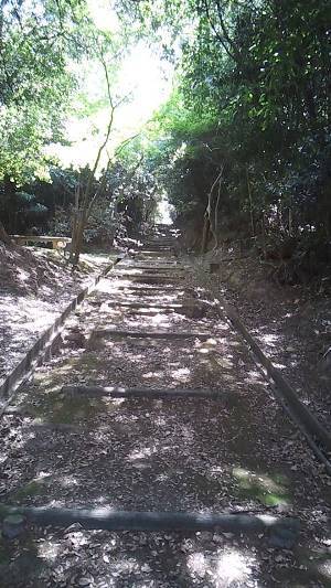 瀬戸内DAYOUT~蔦島にて 瀬戸内DAYOUT~蔦島にて