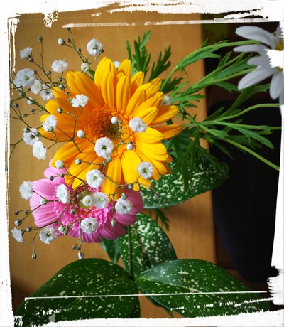 感謝?の花束たち 感謝?の花束たち