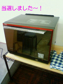 当選しました!そして選挙・・・