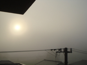 “霧のあさ・・・♪”