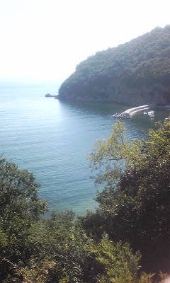 キラキラ光る海