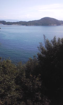 キラキラ光る海