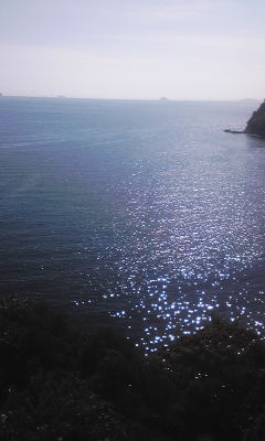 キラキラ光る海