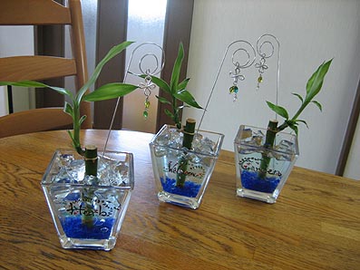 新作発表(^^)v