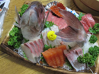 初登場