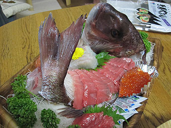 初登場