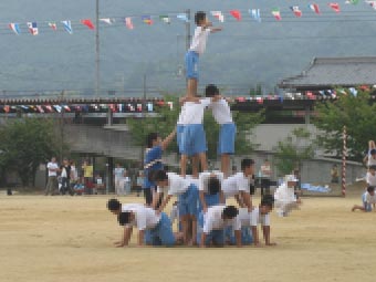 苦手分野