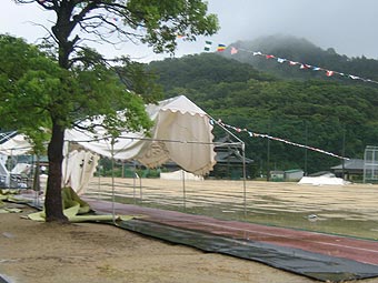 苦手分野