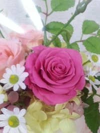 Thank you ♪