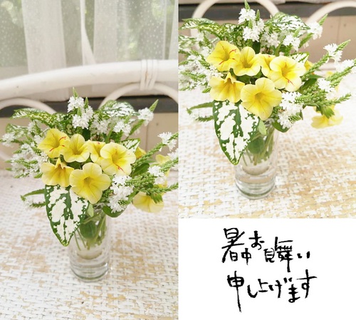暑中お見舞い申し上げます♪ 暑中お見舞い申し上げます♪
