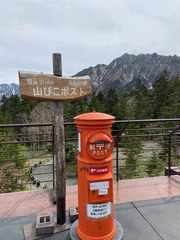 先日の山から誘惑の便り 先日の山から誘惑の便り