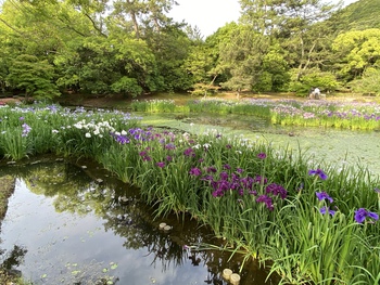 栗林公園が開園 栗林公園が開園