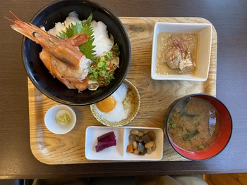 ぎょぎょッとしたよ ぎょぎょッとしたよ
