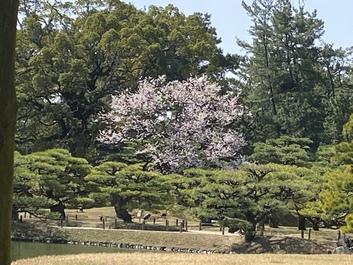 ほとぼり いや ほとり だ ほとぼり いや ほとり だ