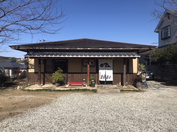 今が美味しいかも 今が美味しいかも