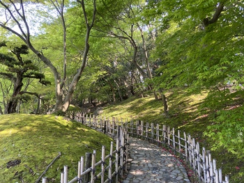 桜だけじゃ無いよ栗林公園 桜だけじゃ無いよ栗林公園