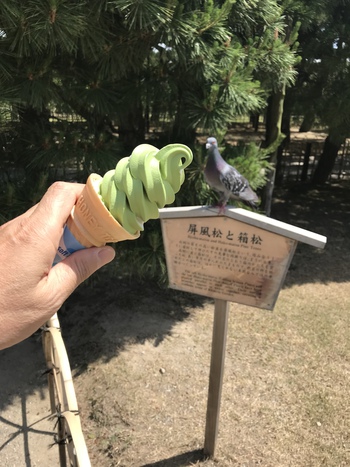 国際派ソフトクリーム 国際派ソフトクリーム