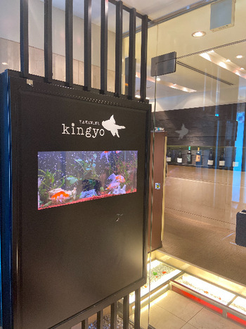 グルメ館で金魚ランチ グルメ館で金魚ランチ