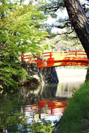 桜だけじゃ無いよ栗林公園 桜だけじゃ無いよ栗林公園