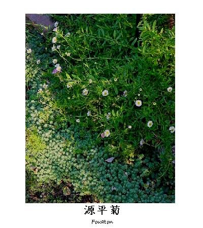 おはようございます♪
