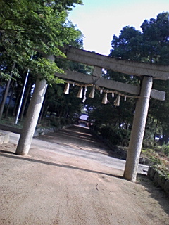 散歩道