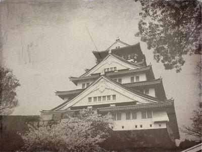 幕末の写真発見!