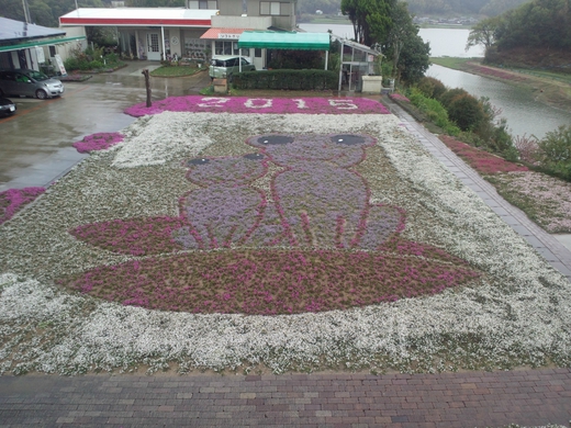 【芝桜祭り】カフェジャルダン 高松市西植田町 【芝桜祭り】カフェジャルダン 高松市西植田町