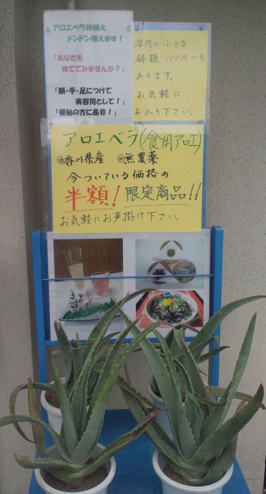 ヘルシー喫茶高千穂 アロエ丼セット 高松市番町 ヘルシー喫茶高千穂 アロエ丼セット 高松市番町